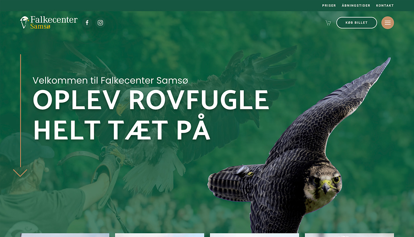 falkecenter falkecenter